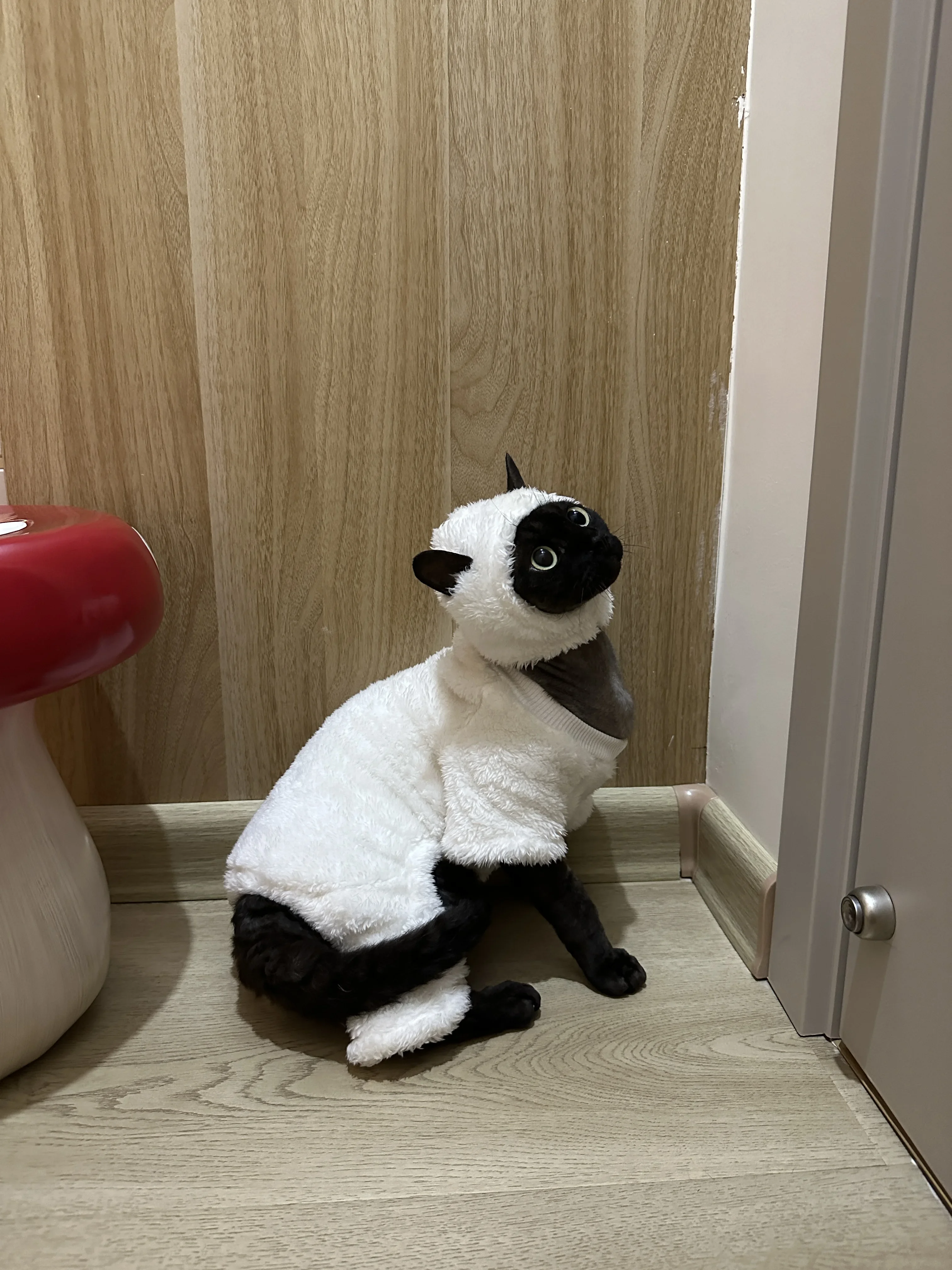 Ropa para gatos sin pelo, otoño e invierno, forro polar grueso, cálido, de cuatro patas, sphinx devon, gato, cordero, forro polar de doble cara, algodón - imagen 3