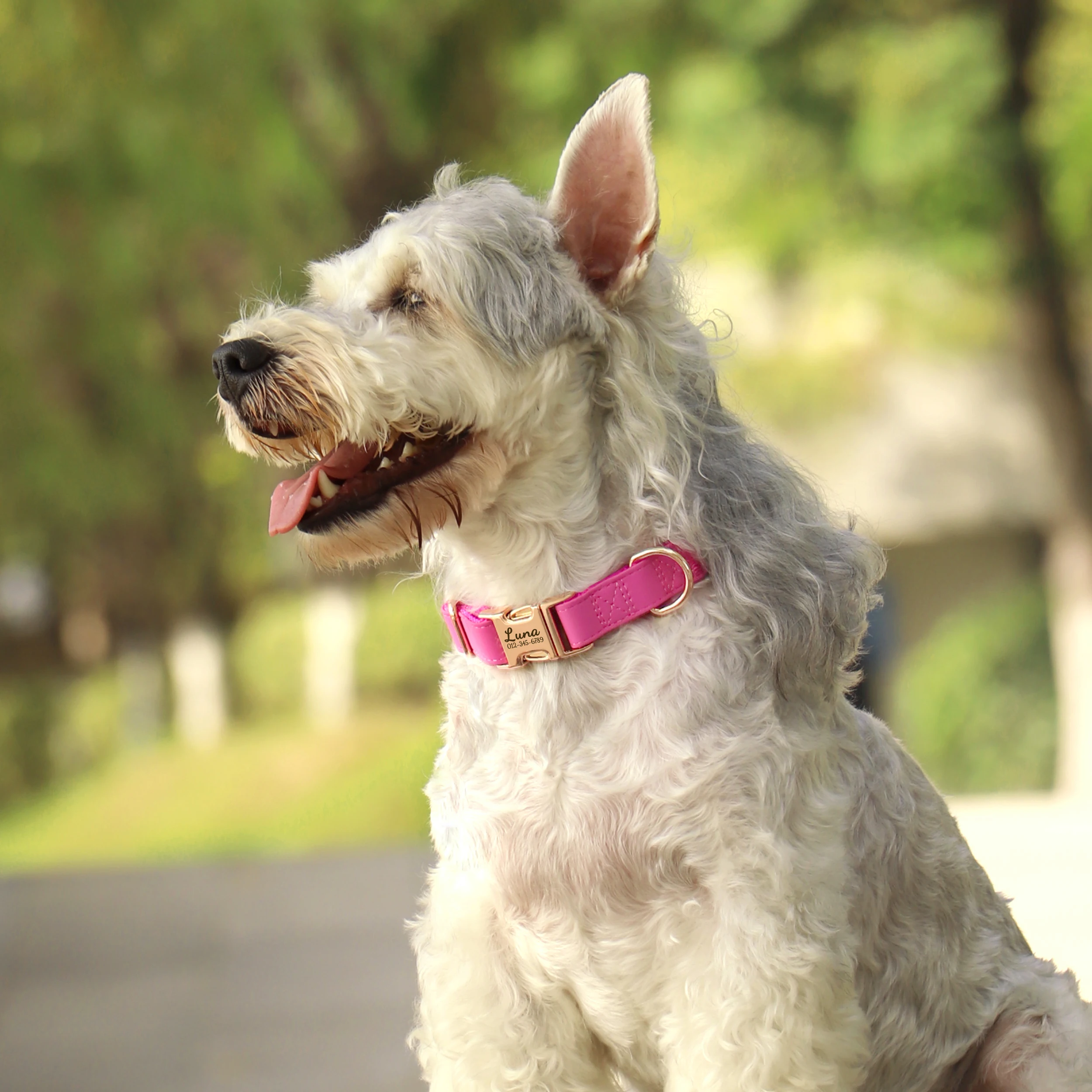 Collar de perro personalizado, collares de cuero PU para perro, grabado gratis, Collar con hebilla de identificación para mascotas, antipérdida para perros pequeños, medianos y grandes, Bulldog - imagen 5