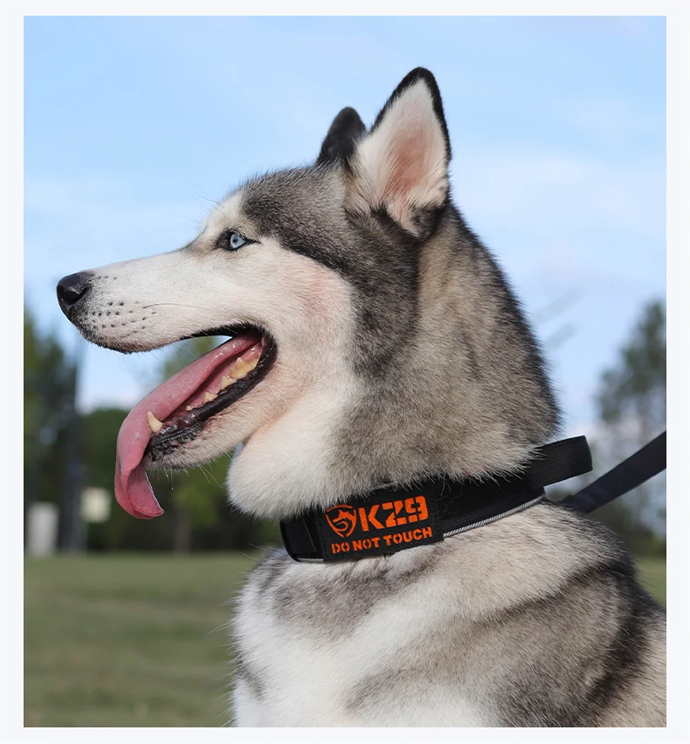 Collar para perro grande de nailon reflectante de 4 colores con agarre ajustable y acolchado suministros de adiestramiento al aire libre para perros medianos y grandes - imagen 3