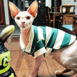 Abrigo para gatos Sphynx rayado, térmico y cómodo