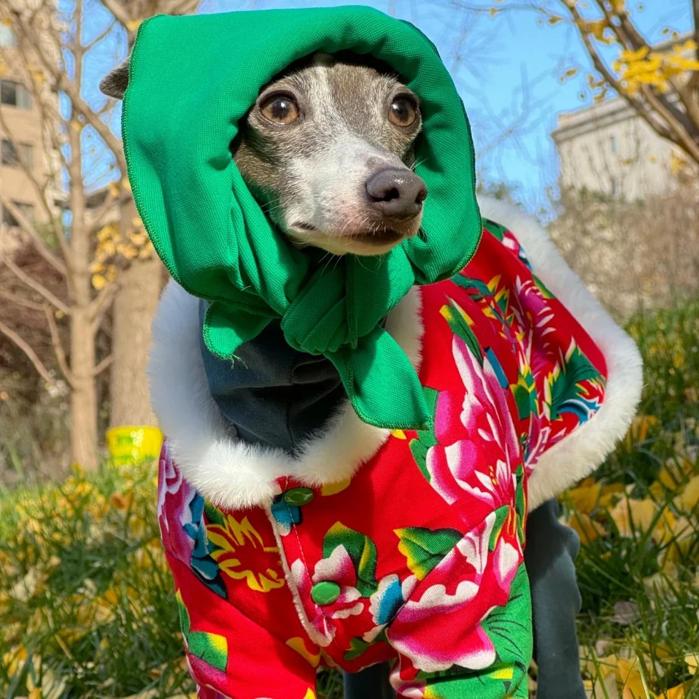 Chaqueta acolchada Floral de algodón grueso rojo estilo Chese para galgo italiano en invierno, abrigo cálido para caniche Bedlington, suministros para perros medios - imagen 2