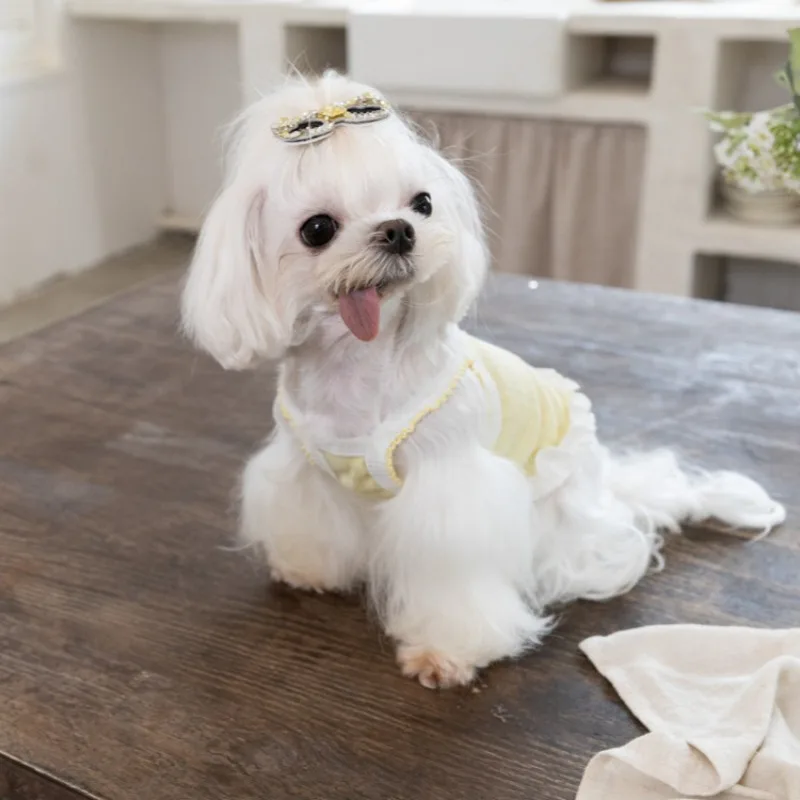 Vestido encaje transpirable y cómodo para perros pequeños - imagen 2