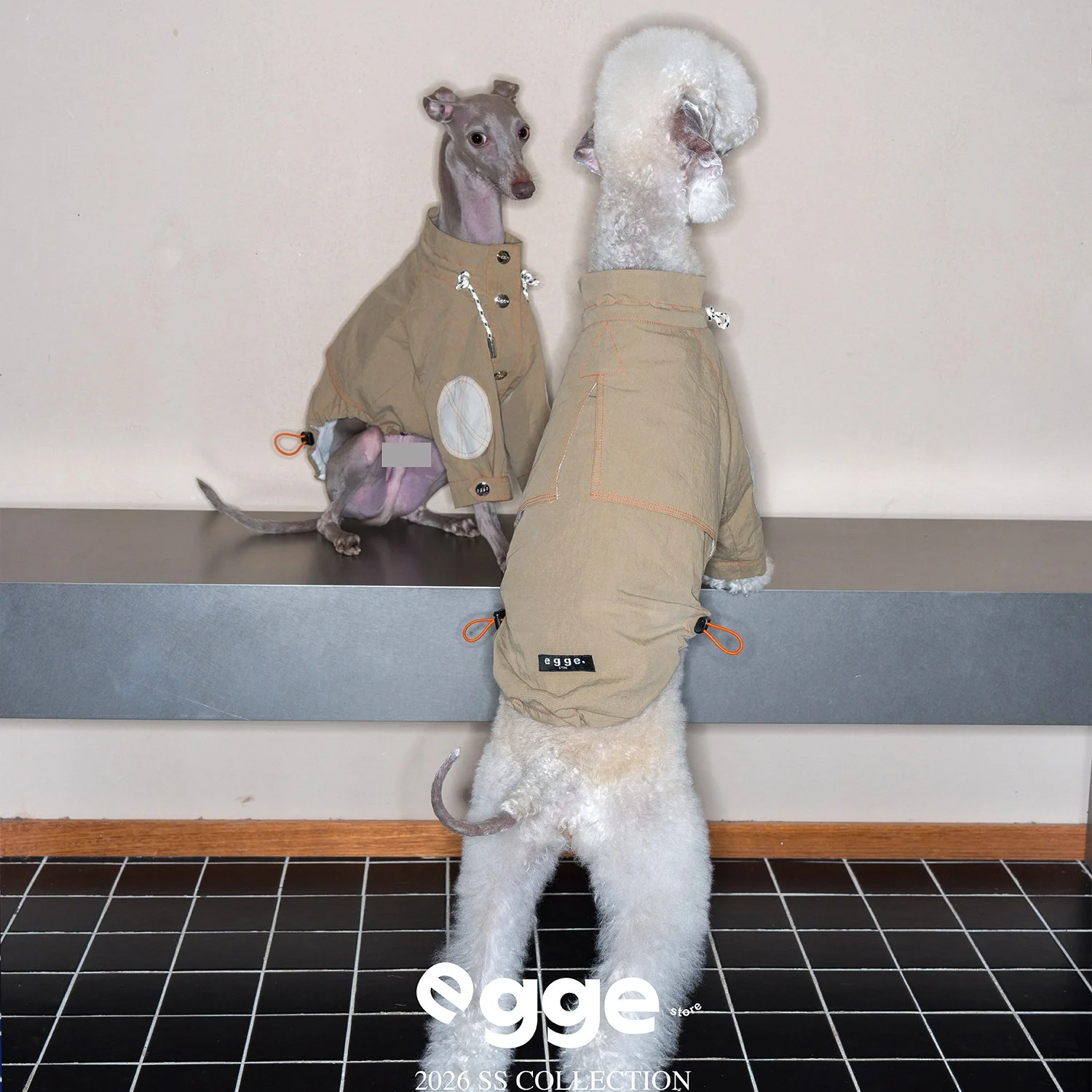 Abrigo para galgo italiano y Bedlington – Cortavientos transpirable - imagen 3