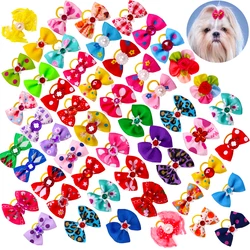 Lazos elásticos para perros – Pack colores vivos