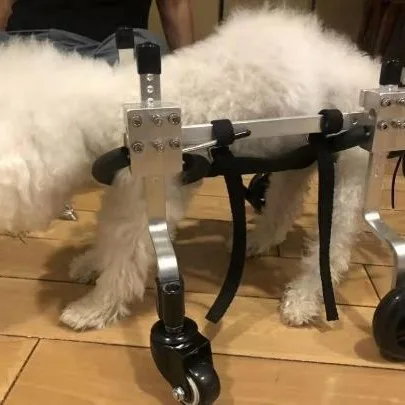 Silla de ruedas ajustable para perros con soporte y movilidad - imagen 5