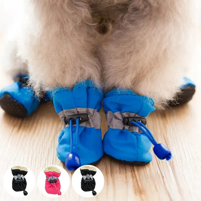 Botas impermeables para mascotas vistas desde arriba