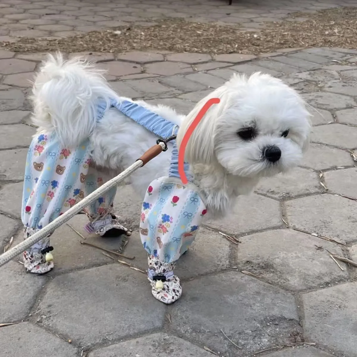 Cochecito de mascotas para salir, pantalones de cuatro patas a prueba de polvo, mono para perros, zapatos, pantalones ligeros de protección de piernas, ropa pequeña - imagen 2