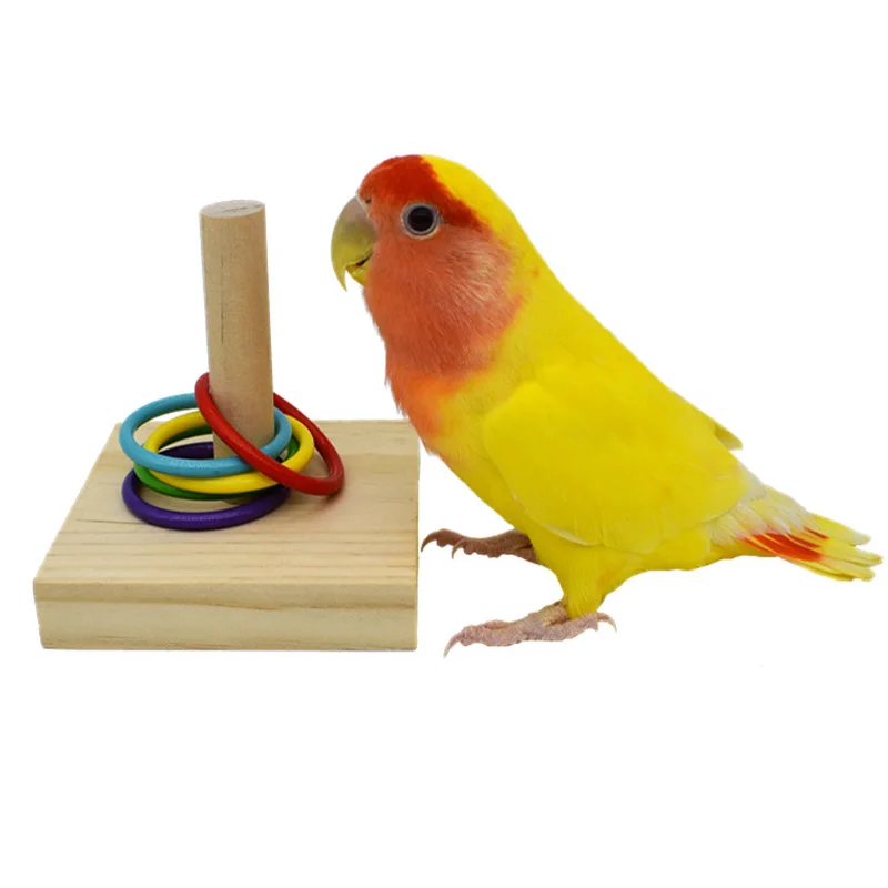 Juego de juguetes de entrenamiento para pájaros, juguetes de rompecabezas de bloques de madera para loros, anillos de plástico coloridos, juguetes para masticar para entrenamiento de inteligencia, suministros para pájaros - imagen 5