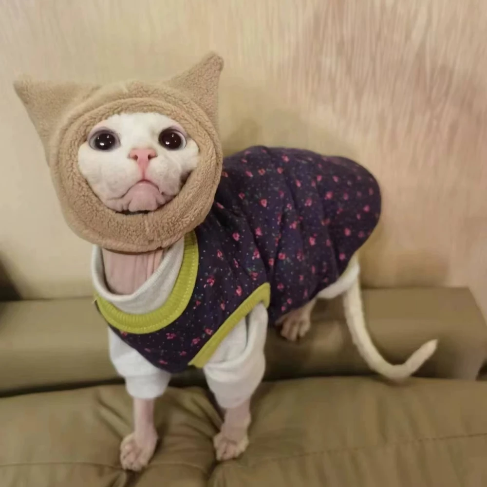 Gorro de lana cálido para gato Sphynx, cabeza caqui de invierno, protege en el clima frío para Devon Rex, bonitos accesorios para gatitos, suministros para gatos