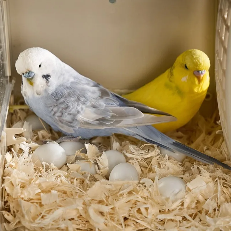 Caja de cría específica para loros, caja para incubar Visual montada en la pared, nido para cría de mascotas, suministros especiales, jaulas para pájaros de PVC de fácil limpieza - imagen 4