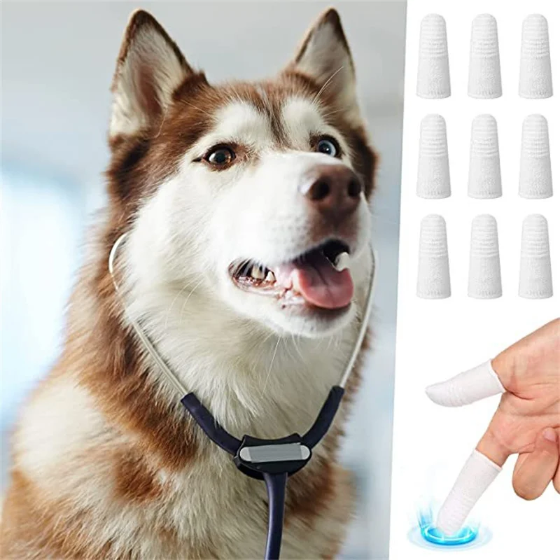 Pack de cepillos dentales para cuidado de mascotas