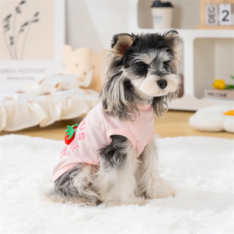 Chaleco sin mangas capucha frutas 3D perros pequeños - imagen 4