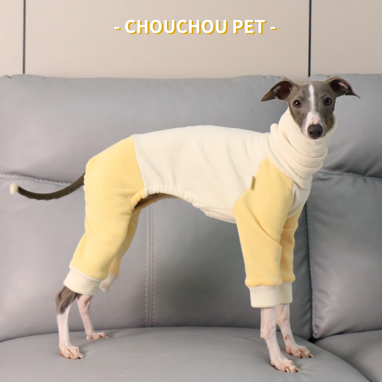 Primavera nuevo italiano galgo Whippet color a juego camisa de fondo suave elástico fácil de usar y quitar ropa de perro