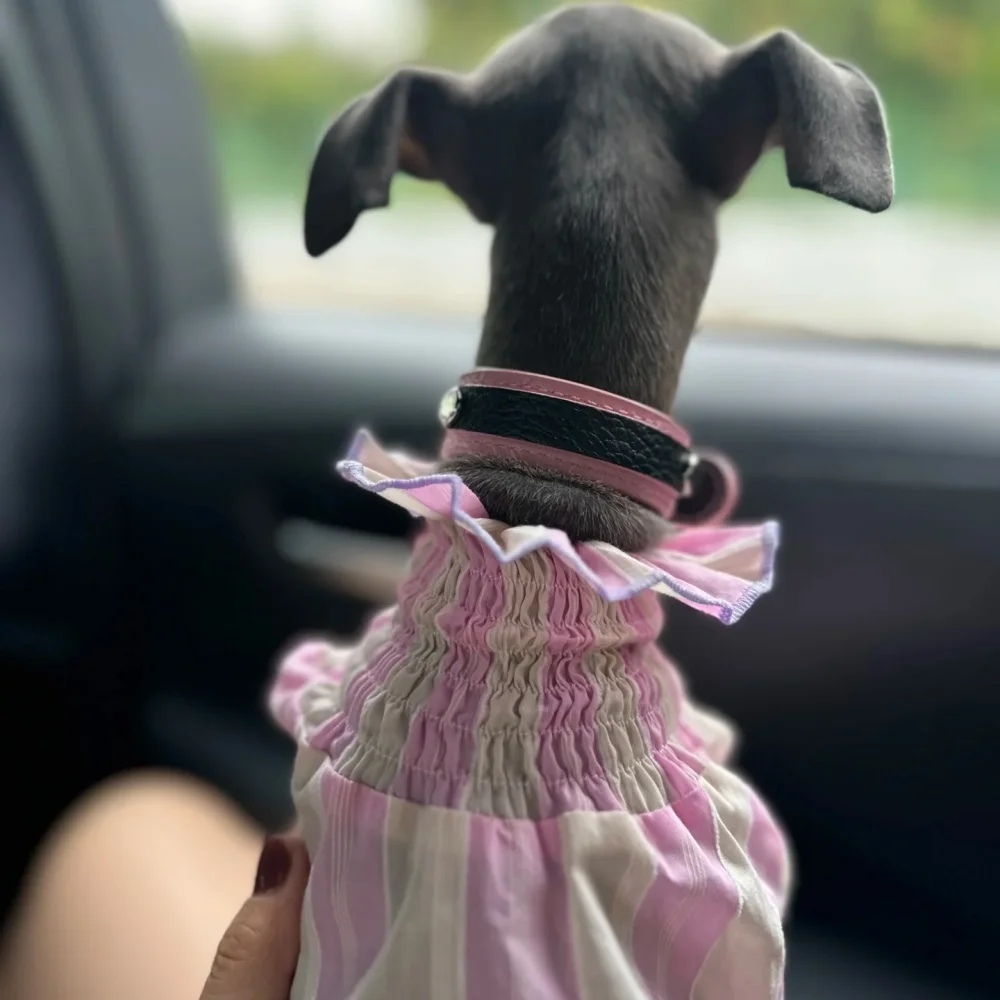 Ropa de perro hembra primavera verano camisa rosa de mangas abullonadas para pequeño galgo tela fresca mangas largas abrigo suave para perro caniche - imagen 2