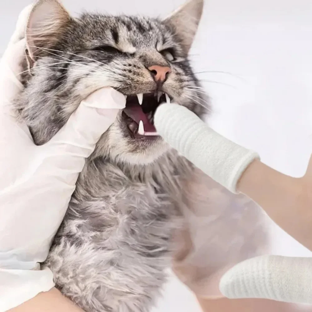 2/8/10/12 Uds. Cepillado de dos dedos para mascotas, cunas para dedos, herramienta de limpieza bucal para dientes de cachorro, cepillo de dientes para dedos de gatito, accesorios para el cuidado de mascotas - imagen 5
