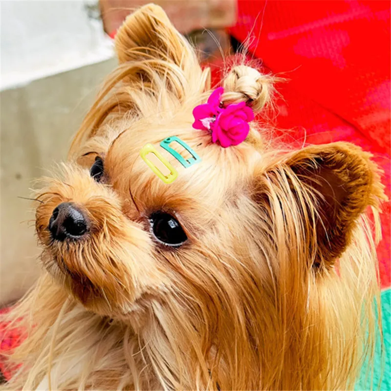 Mini horquilla coreana de 2cm colorida para mascotas, pinzas para el pelo para gato, perro, adorno para mascotas, regalo, accesorios para el cabello para perros