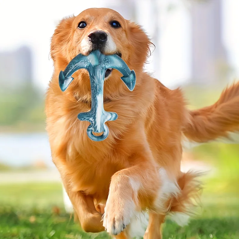 Juguete interactivo para perros pequeños y medianos, juguete para cachorros resistente a mordeduras, juguetes para limpiar los dientes, suministros para mascotas - imagen 3