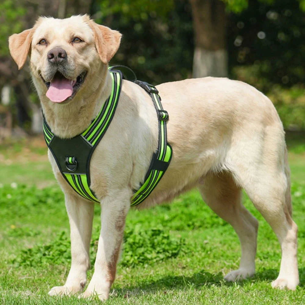 Arnés portátil para perros grandes, chaleco, arneses duraderos y resistentes para mascotas para perros medianos y grandes, accesorios para mascotas Pitbull Shepherd Labrador - imagen 5