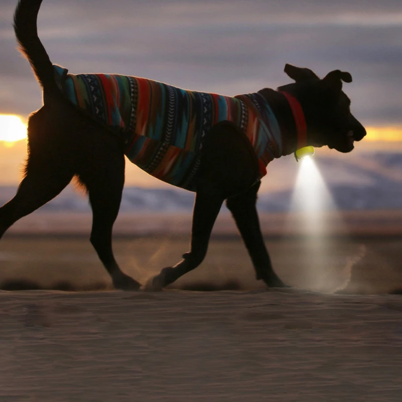 Luz LED de seguridad para perros, luces nocturnas antipérdida para perros, mascotas, cachorros, perros, luz para caminar, suministros de accesorios portátiles para mascotas, gatos y gatitos - imagen 3