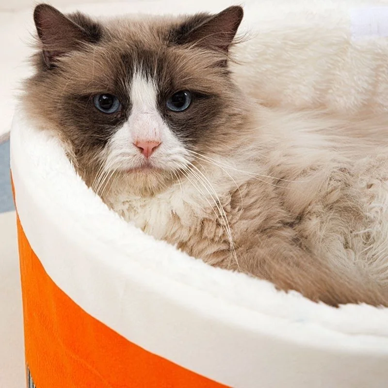 Fideos instantáneos modernos y creativos para perros de otoño e invierno en todas las estaciones, arena para mascotas para dormir con gatos cerrados y cálidos - imagen 4