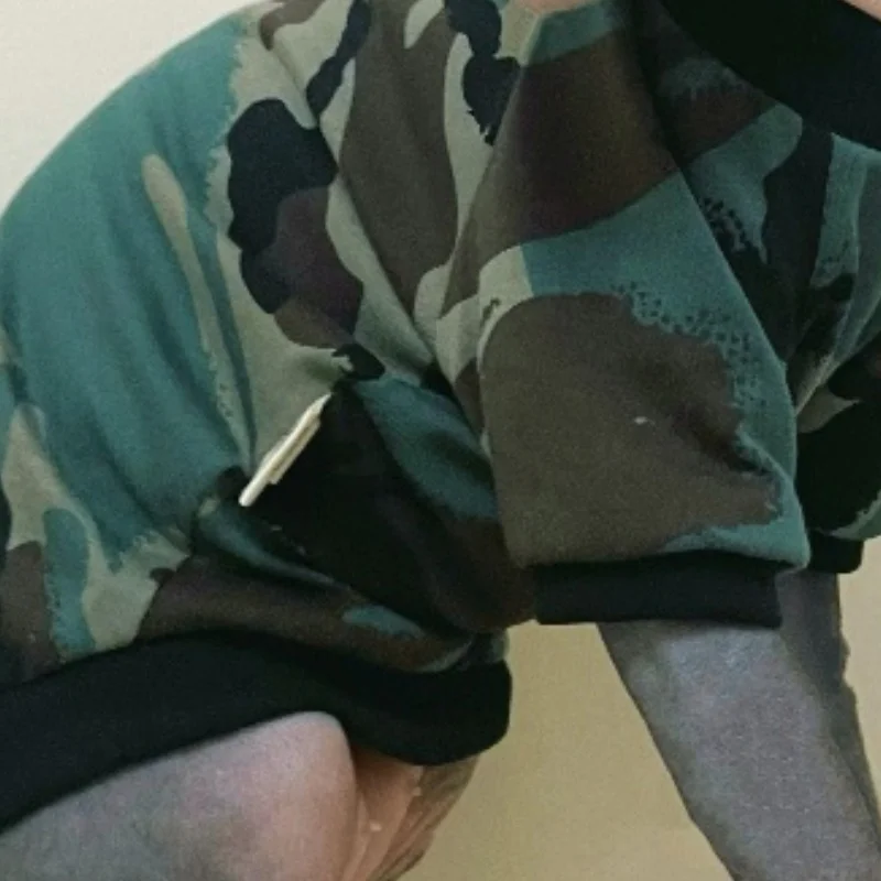 Camiseta de algodón con dibujos de gato esfinge, abrigo de camuflaje verde, sudadera de otoño, ropa para gatos en primavera, suministros para gatos Devon Rex - imagen 5