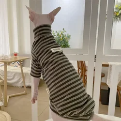 Jersey de punto para gato Sphynx y Abisinio – Cuello alto abrigado