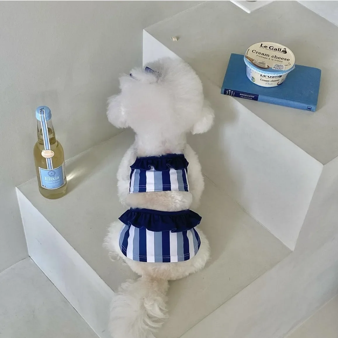 INS-Camiseta sin mangas de una pieza con tirantes a rayas para mascotas, Bikini para gato y perro, traje de baño transpirable de Lycra, tarjeta de pelo, diseño de moda - imagen 3