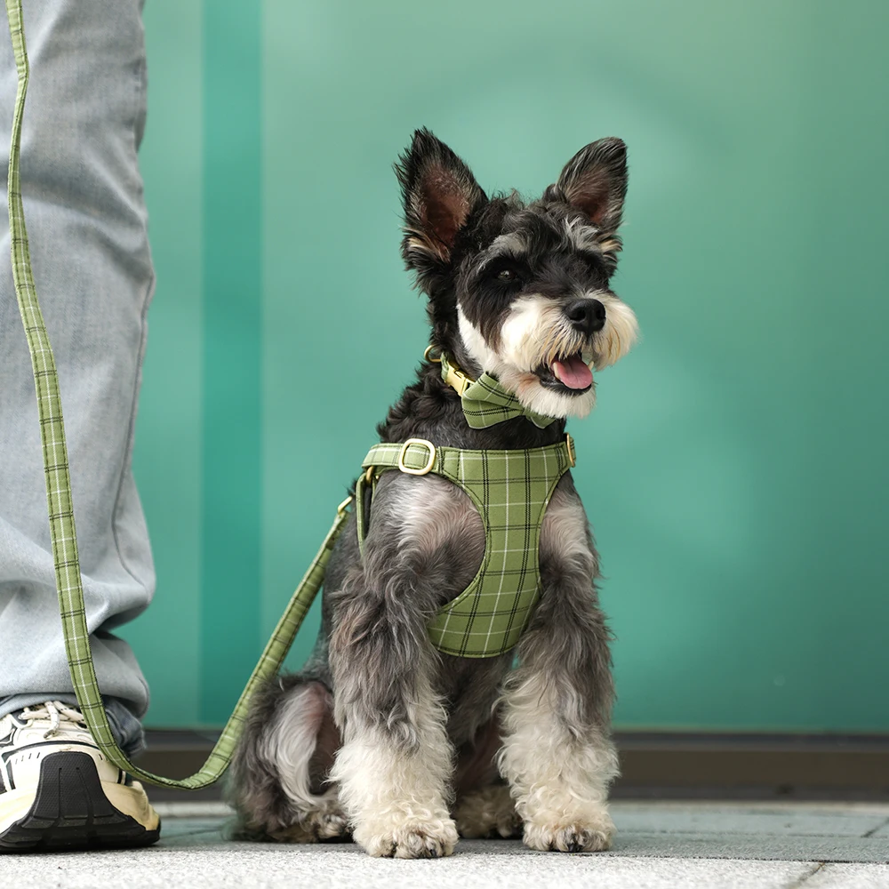 3 unids/set lindo pajarita Collar de perro arnés de correa conjunto clásico a cuadros Collar de perros arnés correa ajustable para Halloween Navidad - imagen 3
