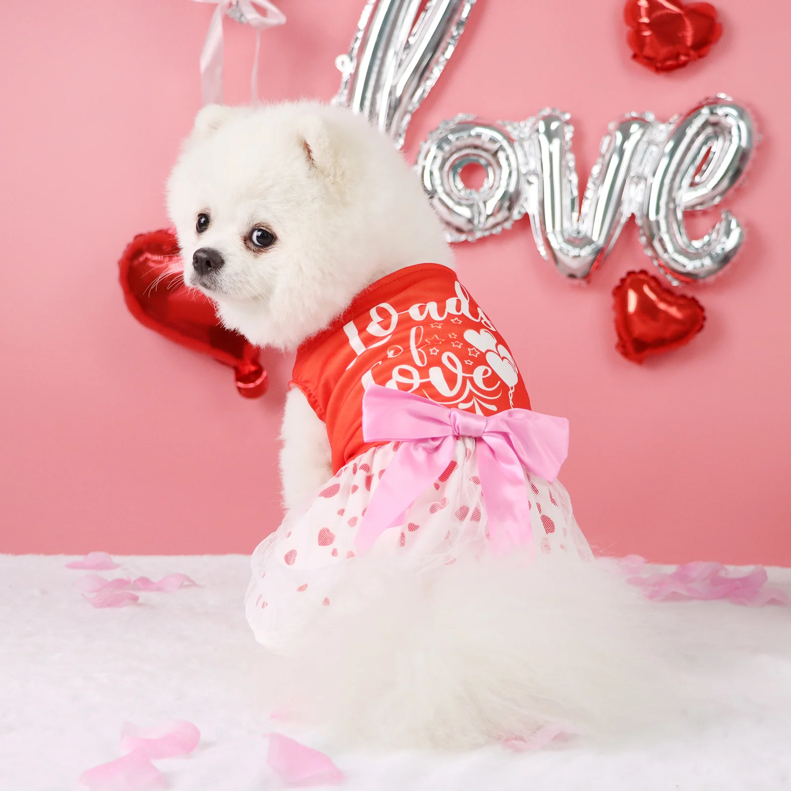 Vestido para mascotas del Día de San Valentín, Top rojo “Loads of Love”, linda falda para cachorro con estampado de corazones, ropa para perros atada con lazo - imagen 3