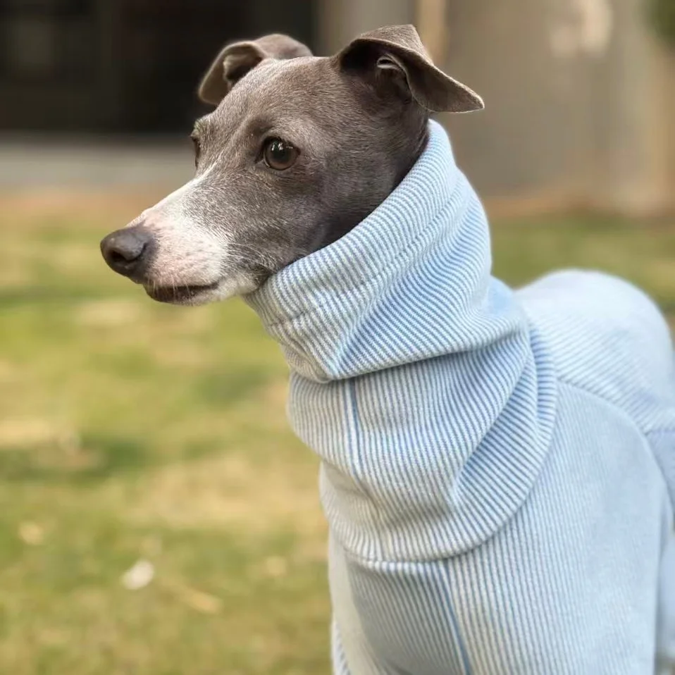 Chaqueta invierno perro forro polar ajustable Galgo Italiano Whippet - imagen 5