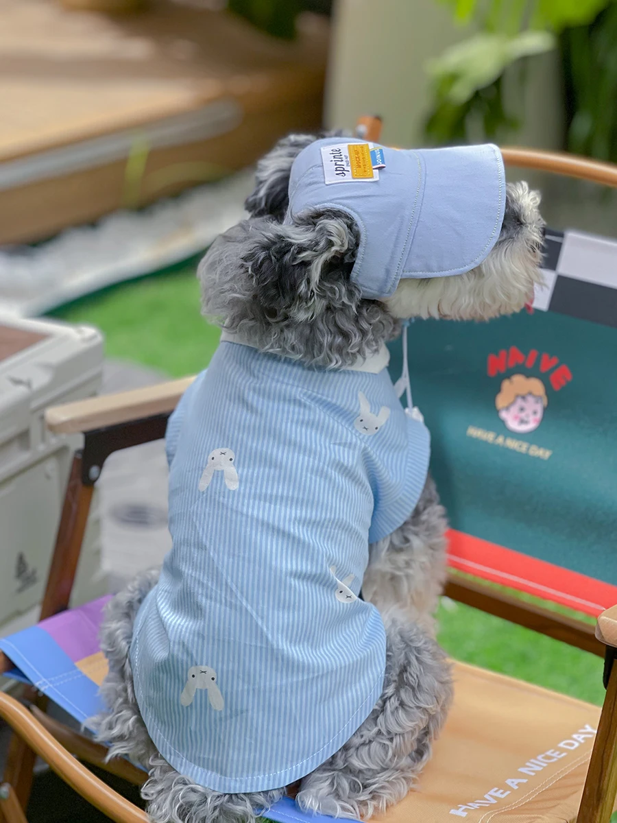 Camiseta azul de verano con sombrero para Schnauzer, ropa transpirable a la moda para perros pequeños, medianos y grandes, Pomerami Bichon - imagen 2