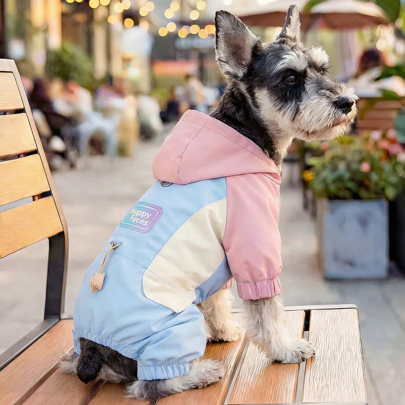 Mono con capucha 4 patas para perros pequeños, a prueba de viento - imagen 5