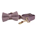 Bow Collar Leash Set