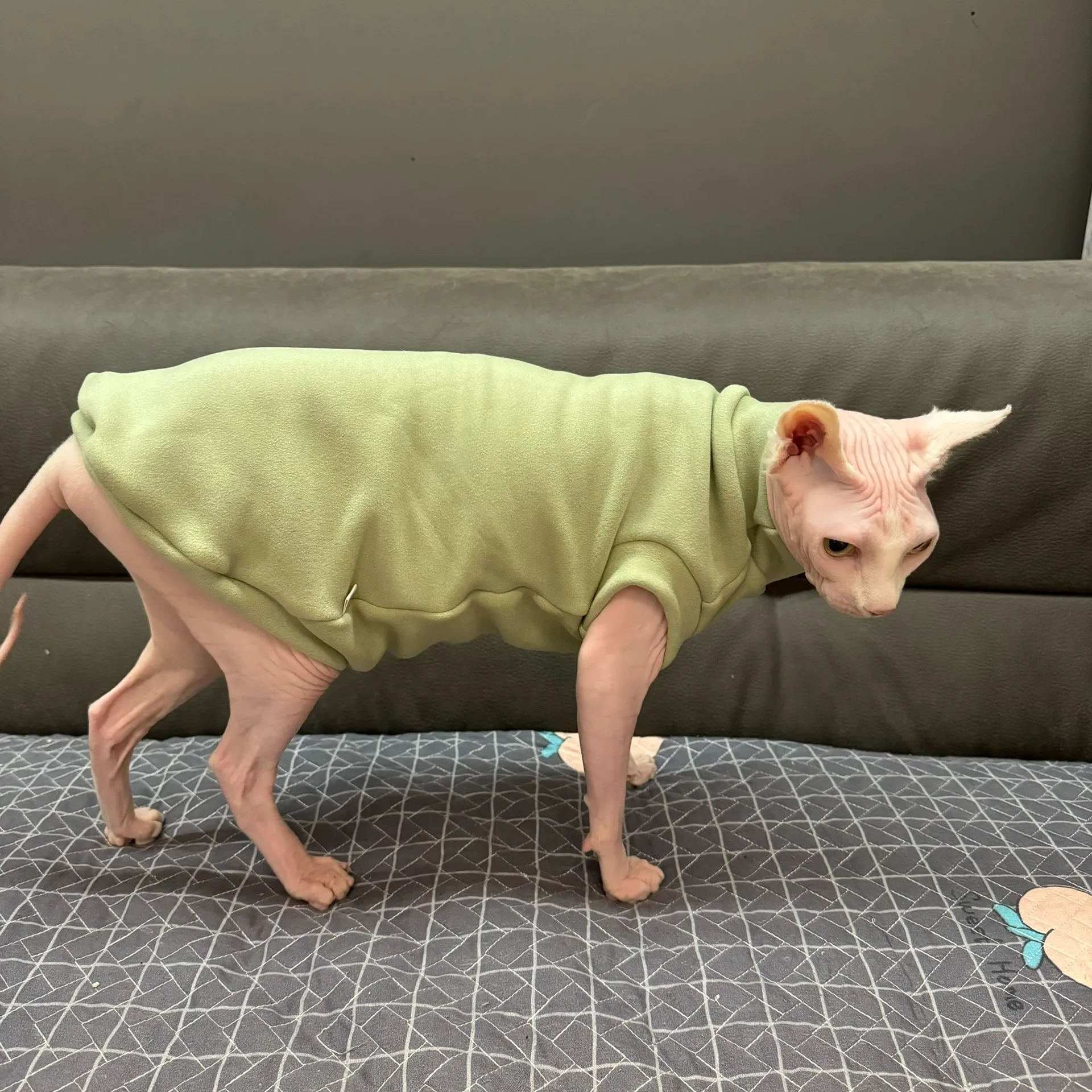 Chaleco de vellón verde de manga corta para Sphynx Cat Sudadera de invierno suave y cálida para gatitos Abrigo rosa grueso para Devon Rex en otoño - imagen 4