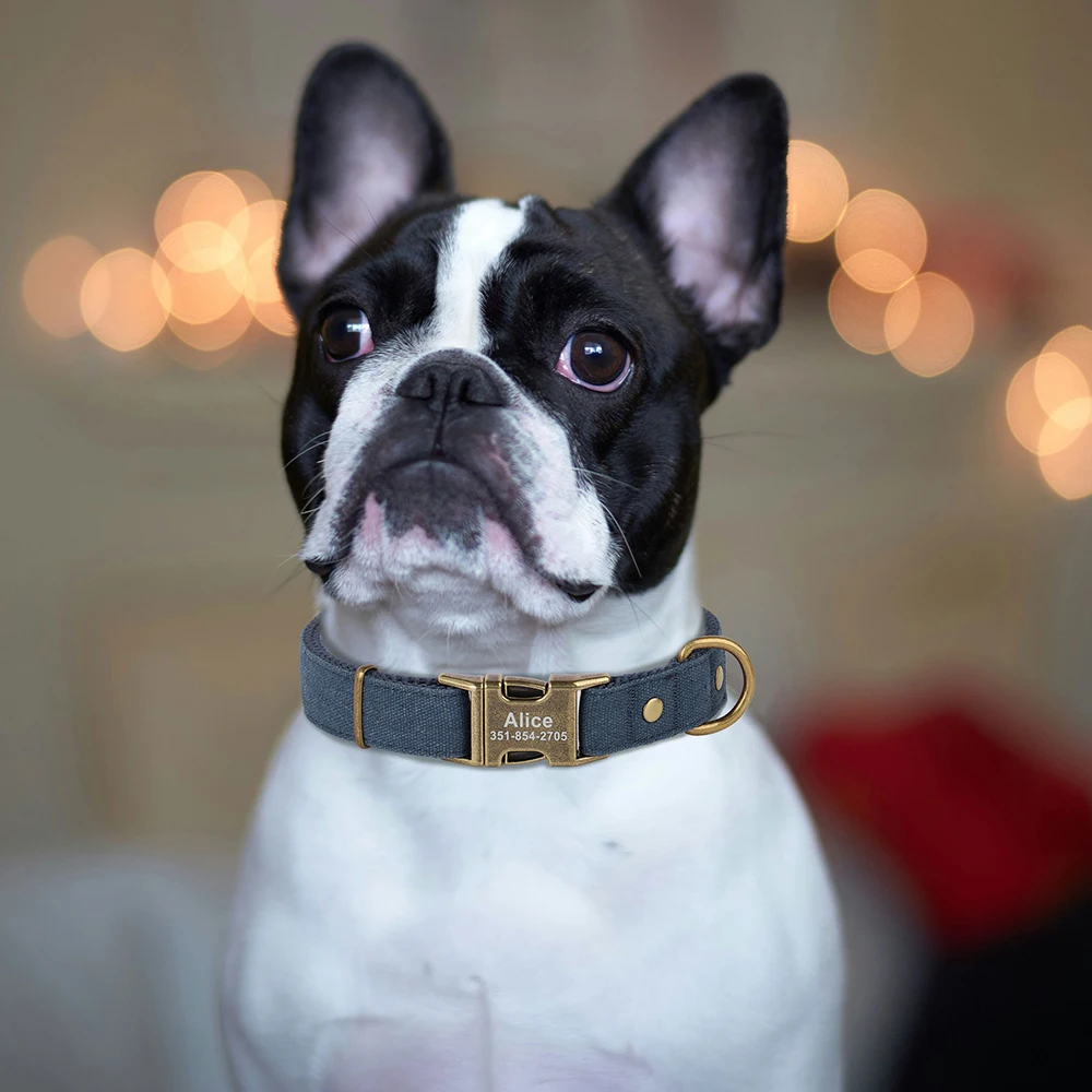 Collar Personalizado para Perros - Nailon, Identificación Gratis - imagen 5