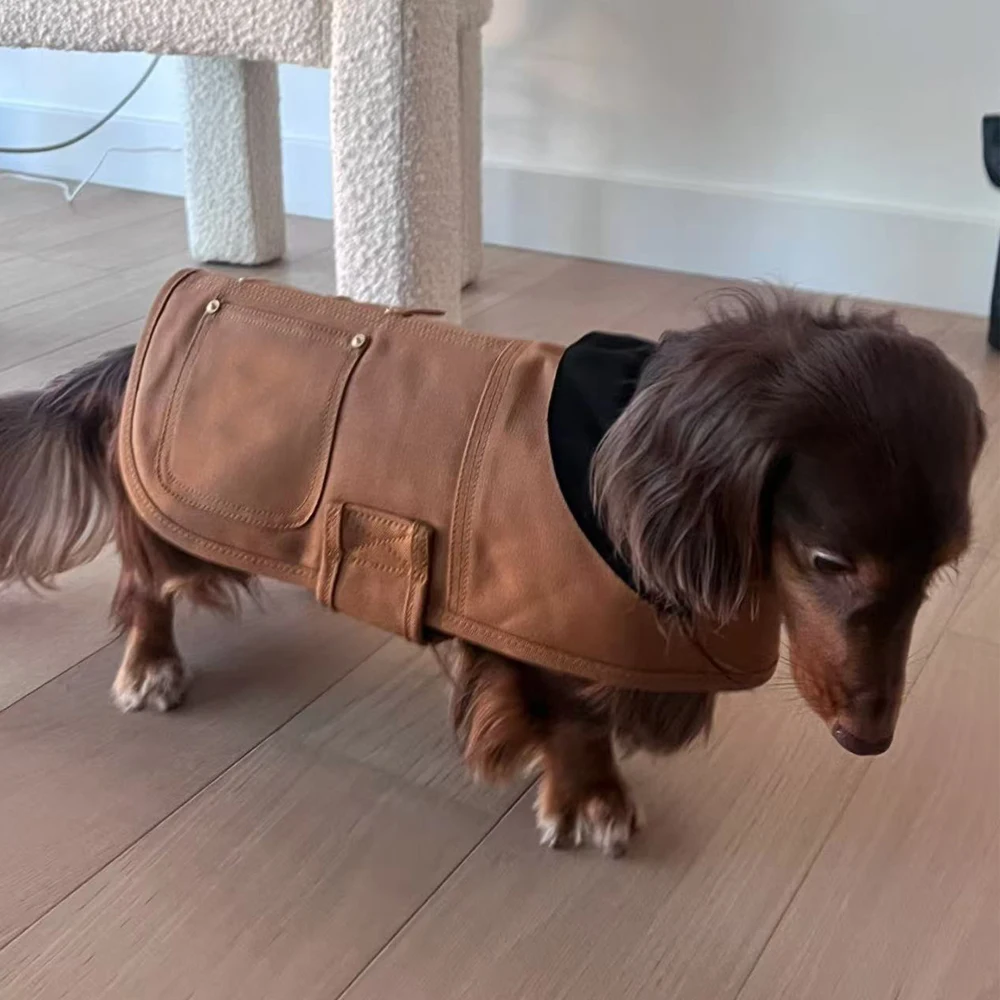 Chaleco desmontable rápido grueso marrón para perros Dachshund P-M-G - imagen 2