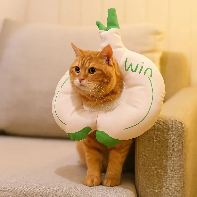 Círculo Elizabeth de gato con estampado de frutas de dibujos animados, cono protector ajustable, suave y transpirable para mascotas, cómodo Collar antipérdida para C - imagen 4