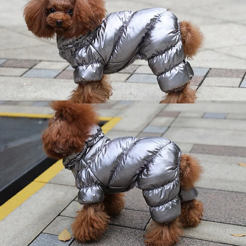 Ropa Invierno para Mascotas - imagen 4