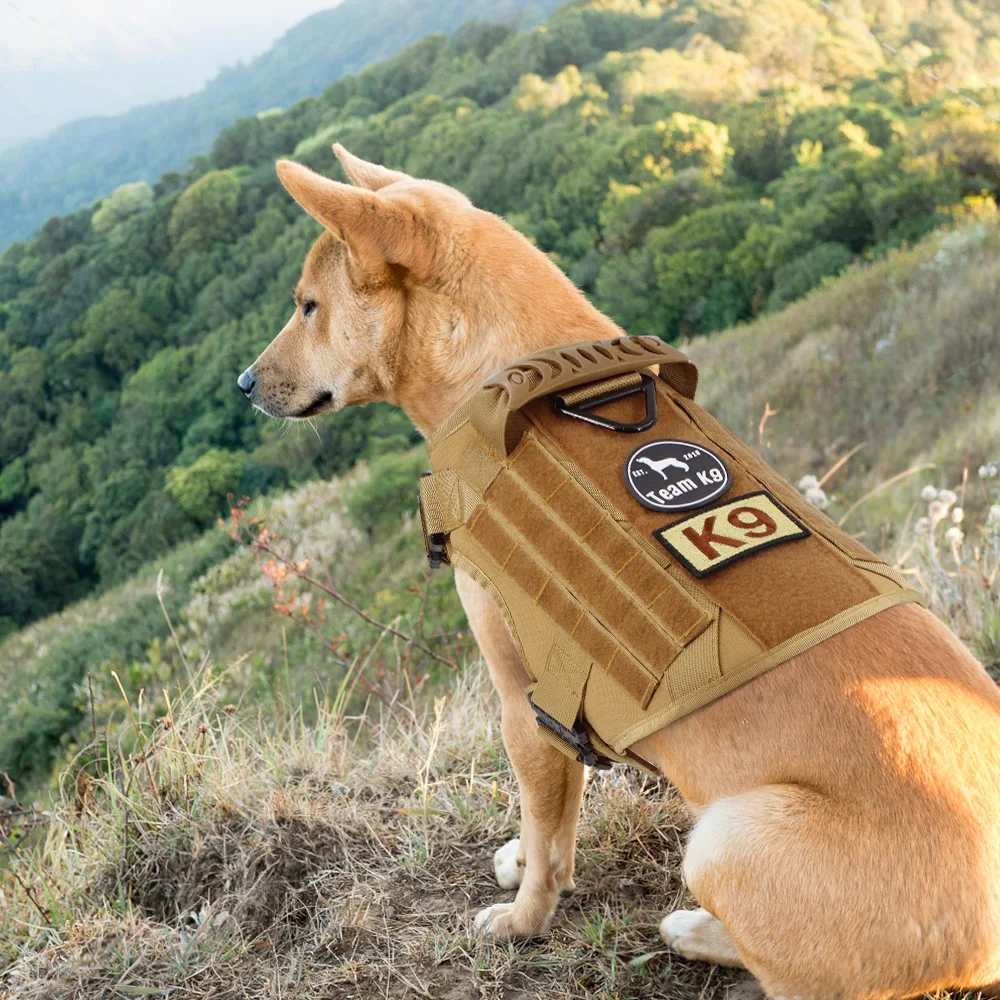 Etiqueta adhesiva para bolsa táctica, parche personalizado, etiqueta adhesiva, nombre personalizado para perro y gato, chaleco, arnés, Collar, 1 Uds. - imagen 4