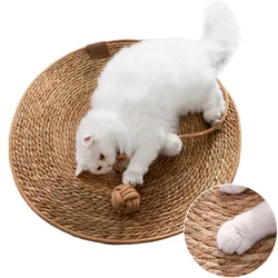 Rascador con cama para gatos – Protege sofá y afila uñas