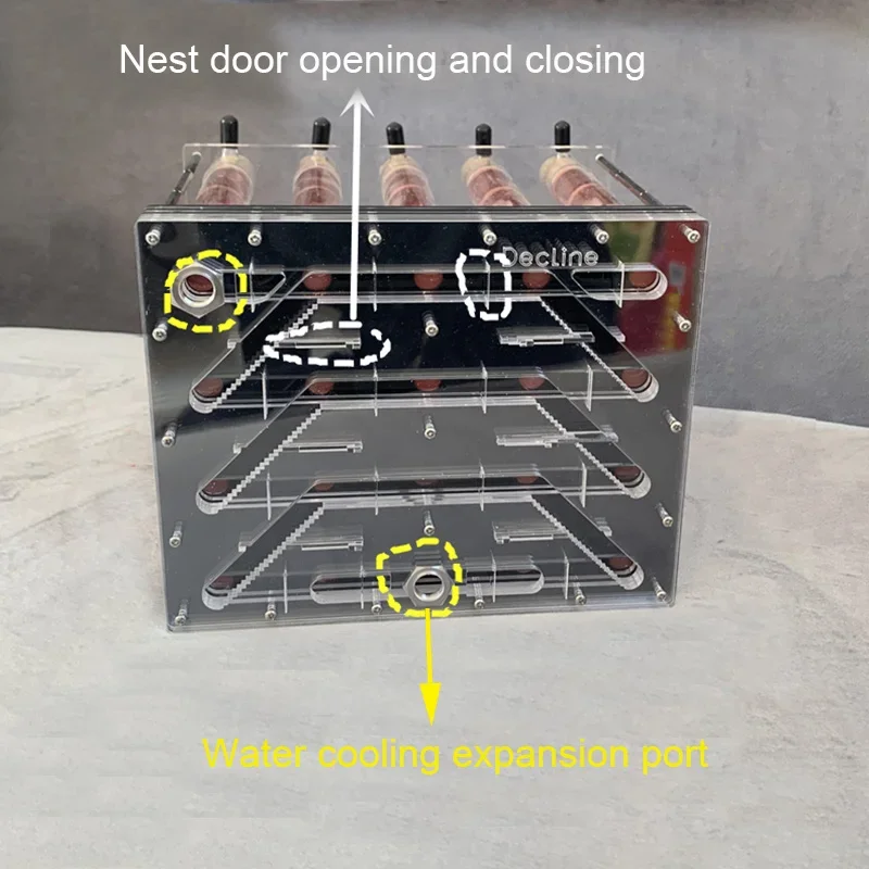 20 piezas 25-200mm tubo de ensayo de bambú granja de hormigas DIY casa de hormigas acrílicas tubo de bambú nido Anthill taller Castillo de insectos hidrata - imagen 3