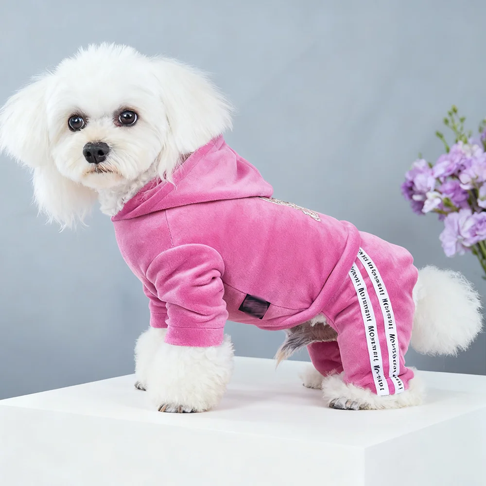 Ropa para perros pequeños y niñas, trajes bonitos, pijamas de terciopelo suave para cachorros, mono de 4 patas, chándal ligero para mascotas, ropa para gatos - imagen 5