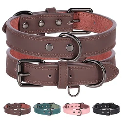 Collar de cuero natural para perro – Cómodo y resistente