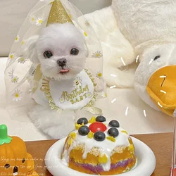 Sombrero de cumpleaños con margaritas para perro y gato