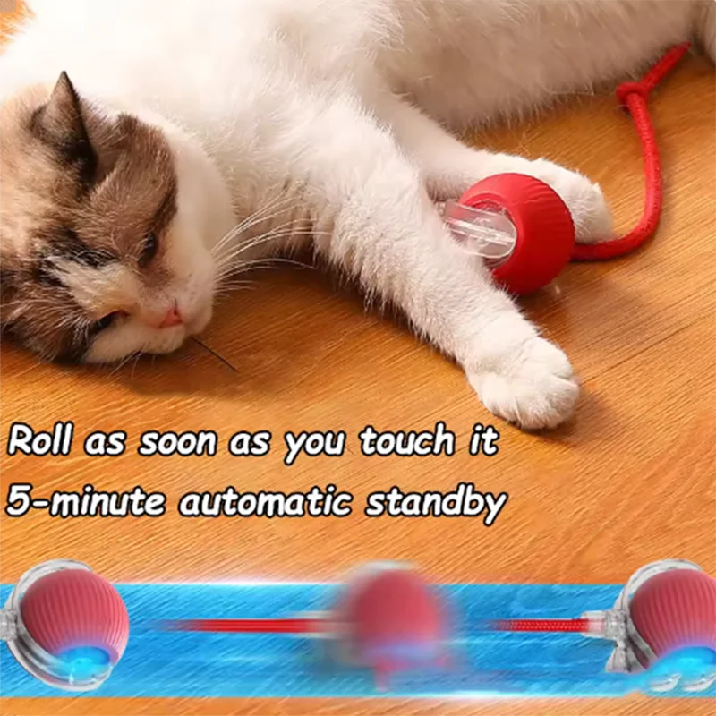 Los juguetes para gatos son bolas para gatos que provocan automáticamente y palillos para gatos autoexcitantes y juguetes para mascotas resistentes al desgaste y a morderse - imagen 3