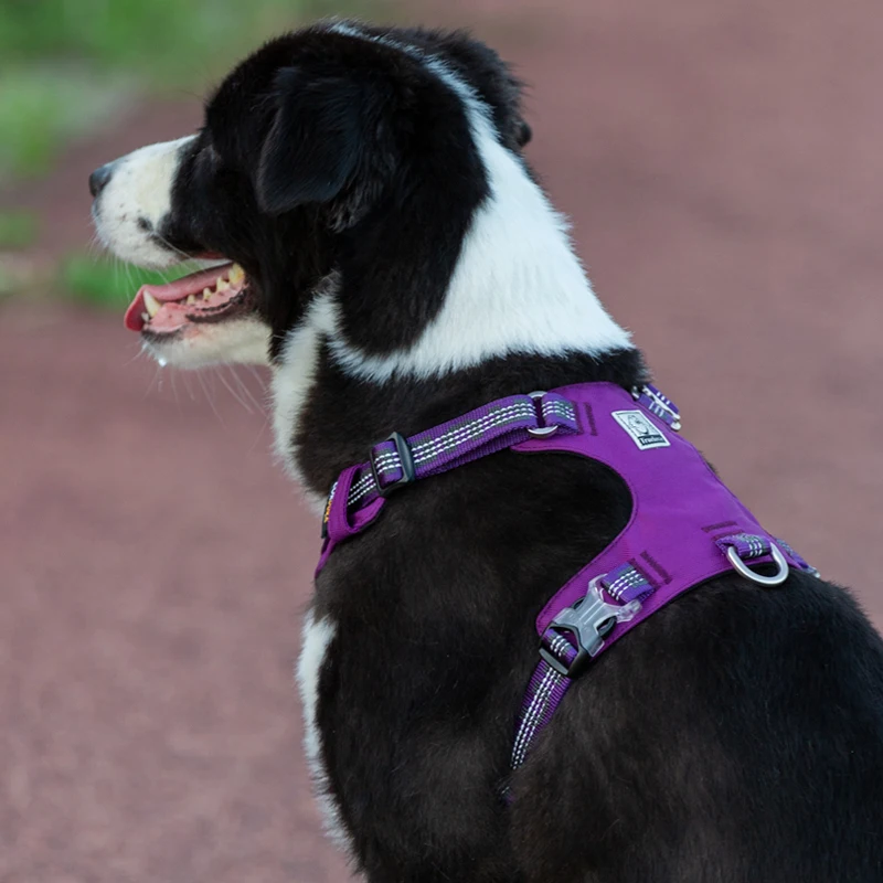 Arnés para perros reflectante 3M transpirable con doble anclaje - imagen 2