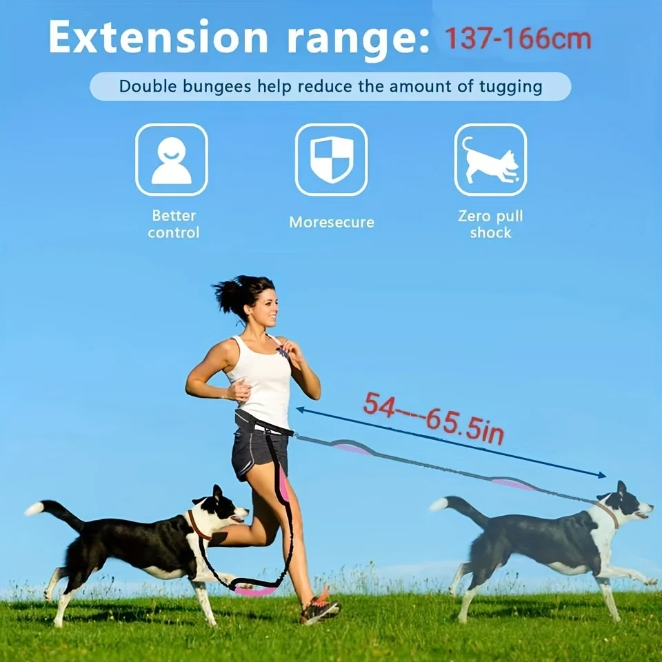 Correa de nailon para perros de razas pequeñas, Collar de Gargantilla con bolsa para la cintura, artículos de sujeción, manos libres, personalizado, accesorios para perros - imagen 2