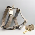 Harness leash12