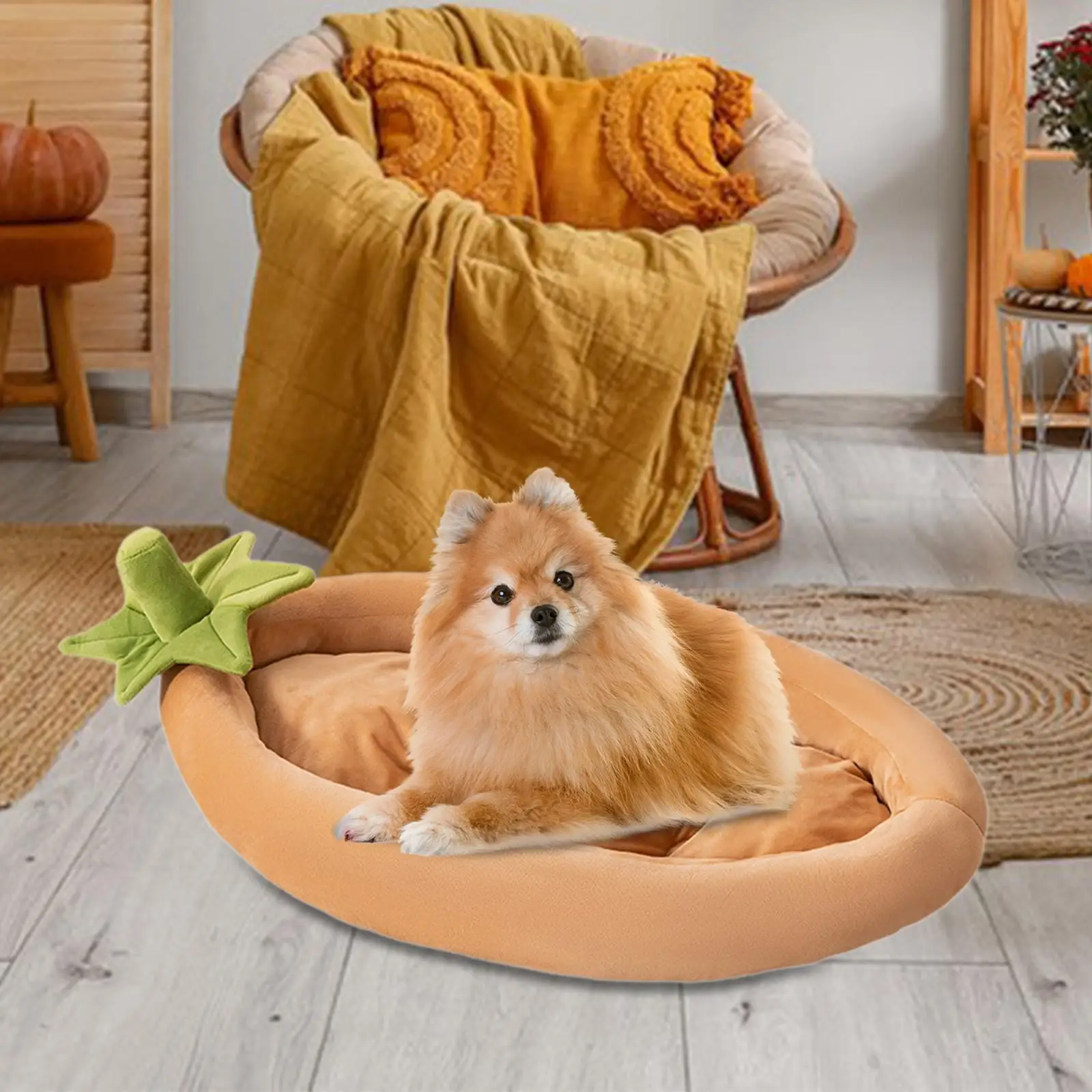 Dogs & Cats Bed Pet Floor Mat for Small, Medium, and Large Cats Indoor Cats