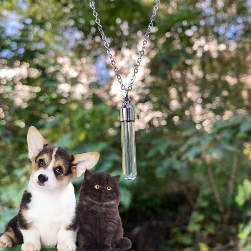 Cilindro de cremación de vidrio de acero inoxidable, colgante de urna de tubo, collar conmemorativo, soporte para cenizas, joyería de cremación de recuerdo